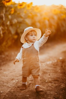 Genç bir çocuk yazın ayçiçeği tarlasında yürür..