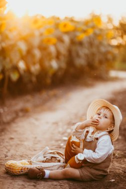 a boy in a field of sunflowers eats wheat bread, the loaf is partially bitten off