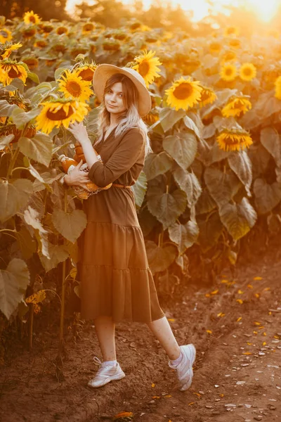 Yazın Gün Batımında Ayçiçeği Tarlasında Güzel Bir Kız — Stok fotoğraf