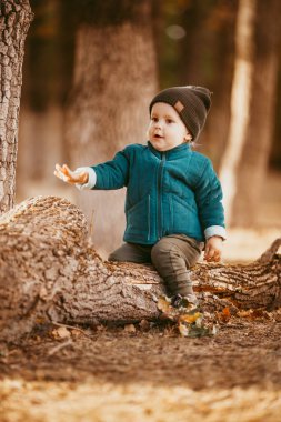 Şapkası ve ceketi olan iki yaşındaki bir çocuk batan güneşe karşı Çam ormanında bir kütüğün üzerinde oturuyor. seçici odaklı resim