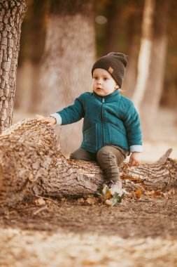 Şapkası ve ceketi olan iki yaşındaki bir çocuk batan güneşe karşı Çam ormanında bir kütüğün üzerinde oturuyor. seçici odaklı resim