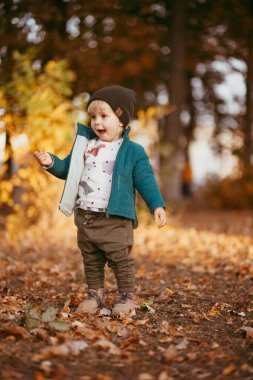 Sonbaharda yürüyüşe çıkan bir çocuk. Yeşil ceketli bir çocuk sonbaharın arka planında parkta yürüyor.