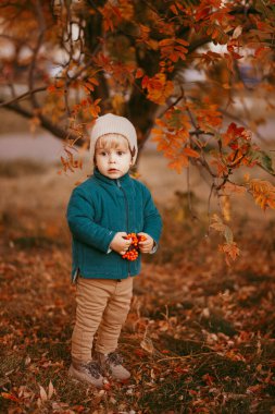Mutlu çocuk geliyor. Yeşil ceketli ve kahverengi pantolonlu bir çocuk. Seçici odaklı resim.
