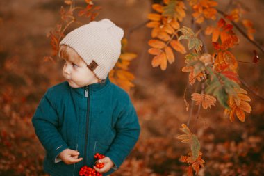 Bej şapkalı ve yeşil ceketli bir çocuk, sonbahar ağaçlarının arka planında duruyor. .