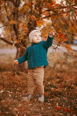 Bej şapkalı ve yeşil ceketli bir çocuk, sonbahar ağaçlarının arka planında duruyor. .
