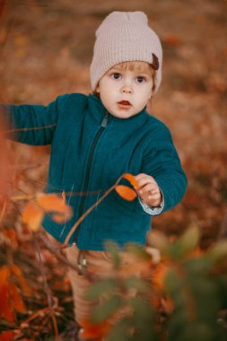 Bej şapkalı ve yeşil ceketli bir çocuk, sonbahar ağaçlarının arka planında duruyor. .