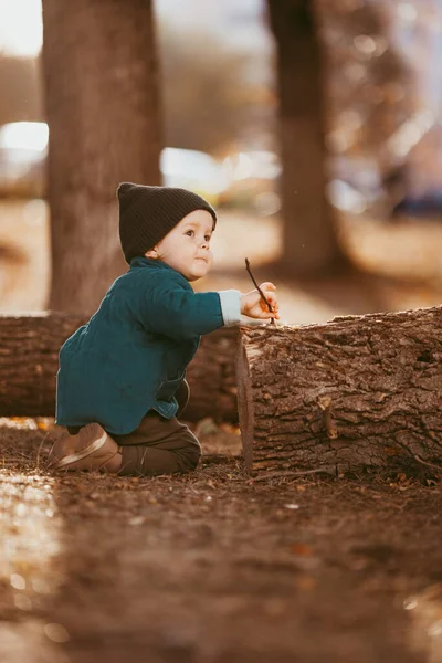 Niño Dos Años Con Sombrero Una Chaqueta Sienta Tronco Bosque —  Fotos de Stock