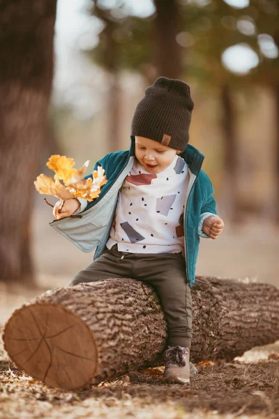 Niño Dos Años Con Sombrero Una Chaqueta Sienta Tronco Bosque — Foto de Stock