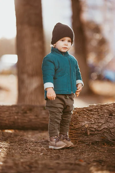 Sonbaharda yürüyüşe çıkan bir çocuk. Yeşil ceketli bir çocuk sonbaharın arka planında parkta yürüyor.