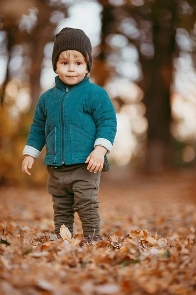 Mutlu çocuk geliyor. Yeşil ceketli ve kahverengi pantolonlu bir çocuk. Seçici odaklı resim.