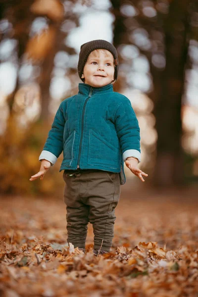 一个秋天散步的孩子 在秋天的背景下 一个穿着绿色夹克的男孩在公园里散步 — 图库照片