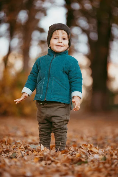 幸せな子供が来ている 緑色のジャケットと茶色のズボンを着た少年 選択的焦点の画像 — ストック写真