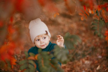 Bej şapkalı ve yeşil ceketli bir çocuk, sonbahar ağaçlarının arka planında duruyor. .