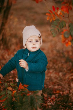 Mutlu çocuk geliyor. Yeşil ceketli ve kahverengi pantolonlu bir çocuk. Seçici odaklı resim.