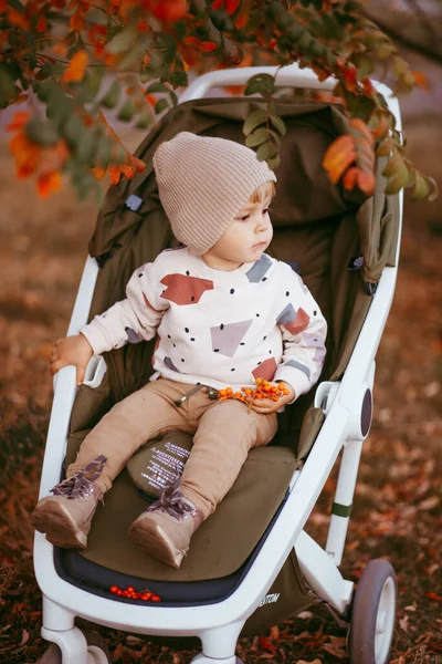 Little Baby Carriage Autumn Park — Stock Photo, Image