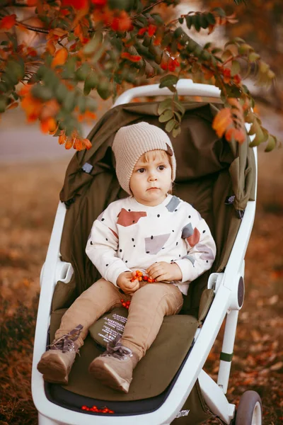 Weinig Met Kinderwagen Herfstpark — Stockfoto