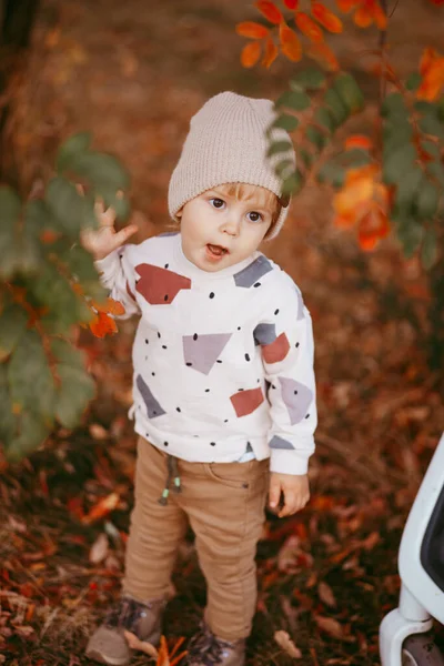 Retrato Menino Bonito Chão Coberto Com Folhas Outono Estilo Vida — Fotografia de Stock