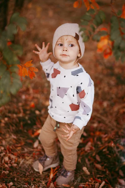 Retrato Menino Bonito Chão Coberto Com Folhas Outono Estilo Vida — Fotografia de Stock