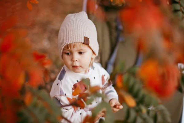 Retrato Menino Bonito Chão Coberto Com Folhas Outono Estilo Vida — Fotografia de Stock