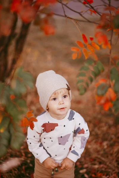 Portrait Mignon Garçon Debout Sur Sol Recouvert Feuilles Automne Style — Photo