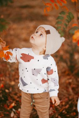 Sonbahar yapraklarıyla kaplı yerde duran sevimli bir çocuğun portresi..