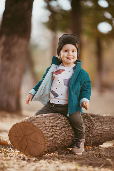 Un niño de dos años con sombrero y chaqueta se sienta en un tronco en un bosque de pinos contra el sol poniente. — Foto de Stock