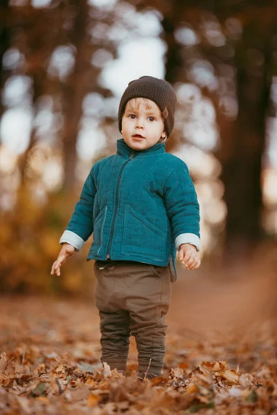 Det lykkelige barnet kommer. En gutt kledd i grønn jakke og brune bukser. – stockfoto