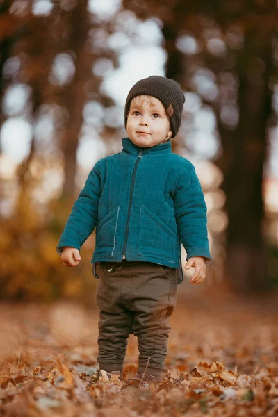 Un niño con una chaqueta verde camina en el parque contra el fondo del otoño — Foto de Stock