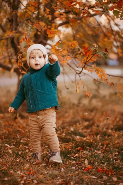 Un enfant joyeux court. Un garçon vêtu d'une veste verte et d'un pantalon brun. — Photo