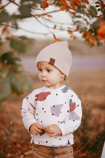 Портрет милого мальчика, стоящего на земле, покрытый осенними листьями. — стоковое фото