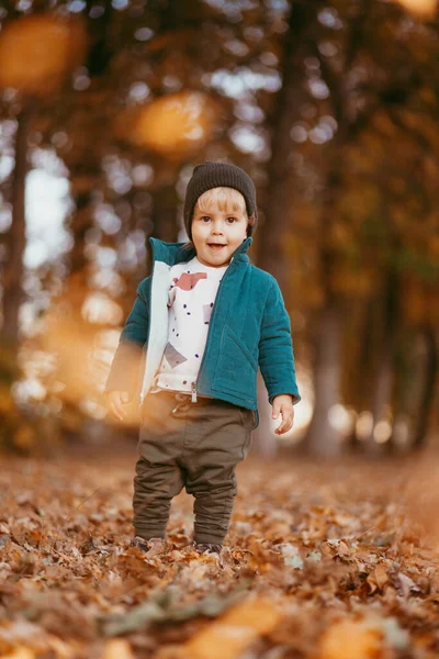 Un niño con una chaqueta verde camina en el parque contra el fondo del otoño — Foto de Stock