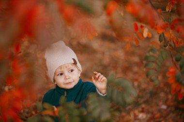 Bej şapkalı ve yeşil ceketli bir çocuk, sonbaharın arka planında duruyor.