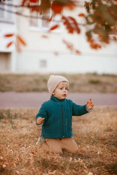 Un garçon, vêtu d'un chapeau beige et d'une veste verte, s'agenouille sur fond d'automne — Photo