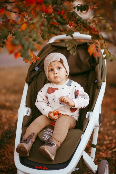秋天公园里抱着婴儿车的快乐小男孩 — 图库照片