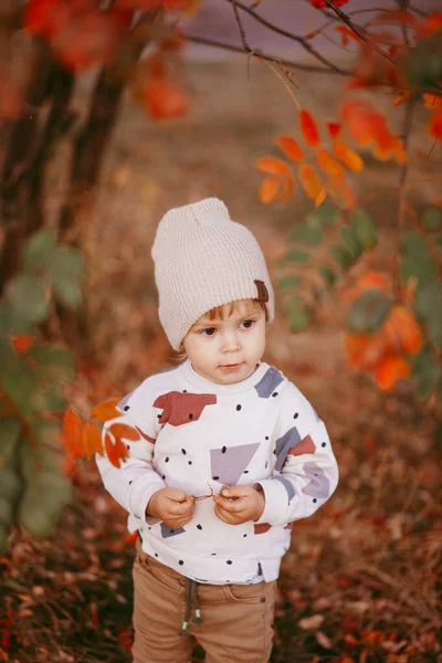 Портрет милого мальчика, стоящего на земле, покрытый осенними листьями. — стоковое фото