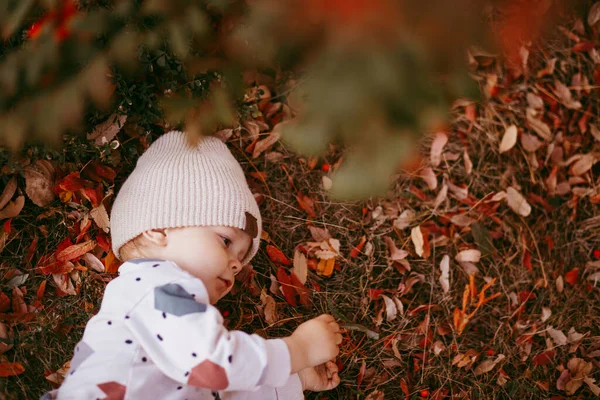 Sonbahar yapraklarıyla kaplı yerde yatan sevimli bir çocuğun portresi.. — Stok fotoğraf