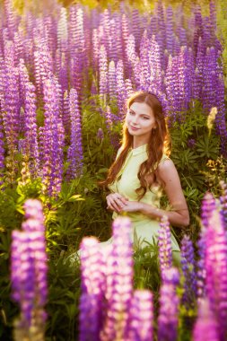 Kız çiçek açması lupines arasında