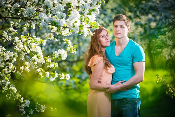 Junges schönes verliebtes Paar unter Apfelbäumen — Stockfoto