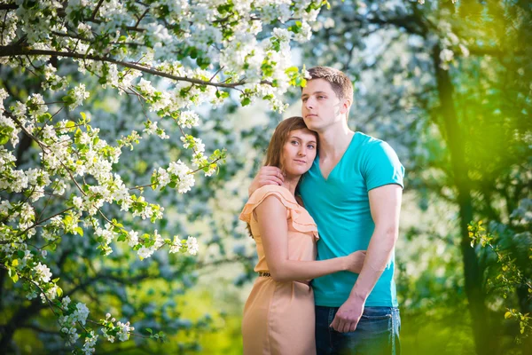 Junges schönes verliebtes Paar unter Apfelbäumen — Stockfoto