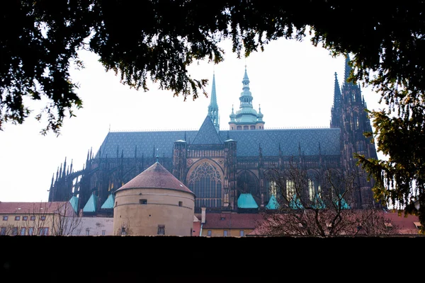 Prague, Prague castle, Czech Republic. — Stock Photo, Image