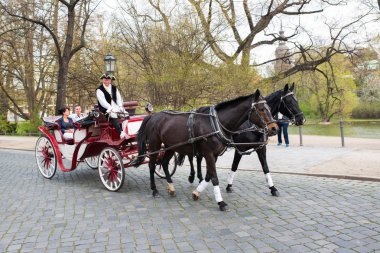 Dresden, at arabası Neumarkt Meydanı. 