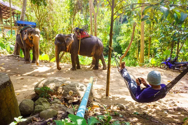 Elefantes jinete en la isla de Phuket en Tailandia —  Fotos de Stock