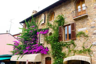 binalar çiçekli Lake Garda İtalya.