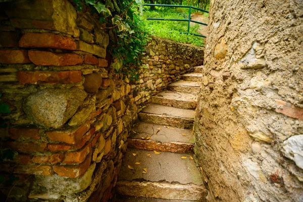 stone stairs in garden