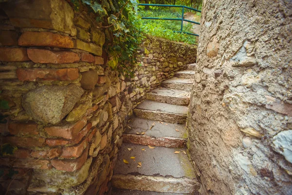 Escaleras de piedra en el jardín —  Fotos de Stock