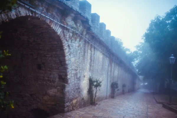 En la hermosa mañana con niebla —  Fotos de Stock