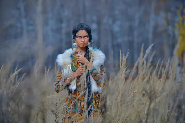 Beautiful girl in style of the American Indians. — Stock Photo, Image