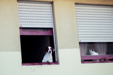 ince evler eski şehir, porto, Portekiz