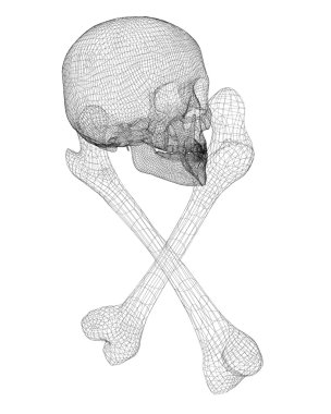 kafatası ve kemikler