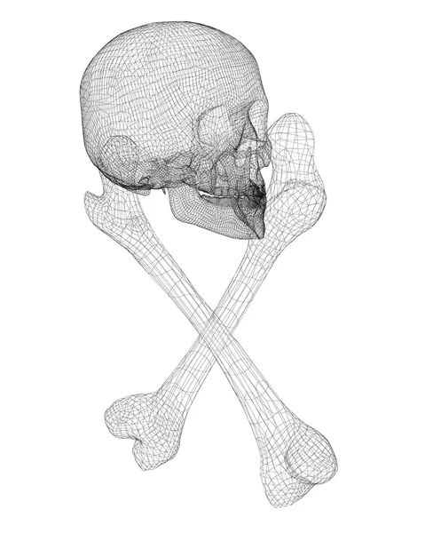 Lebka a kosti — Stock fotografie